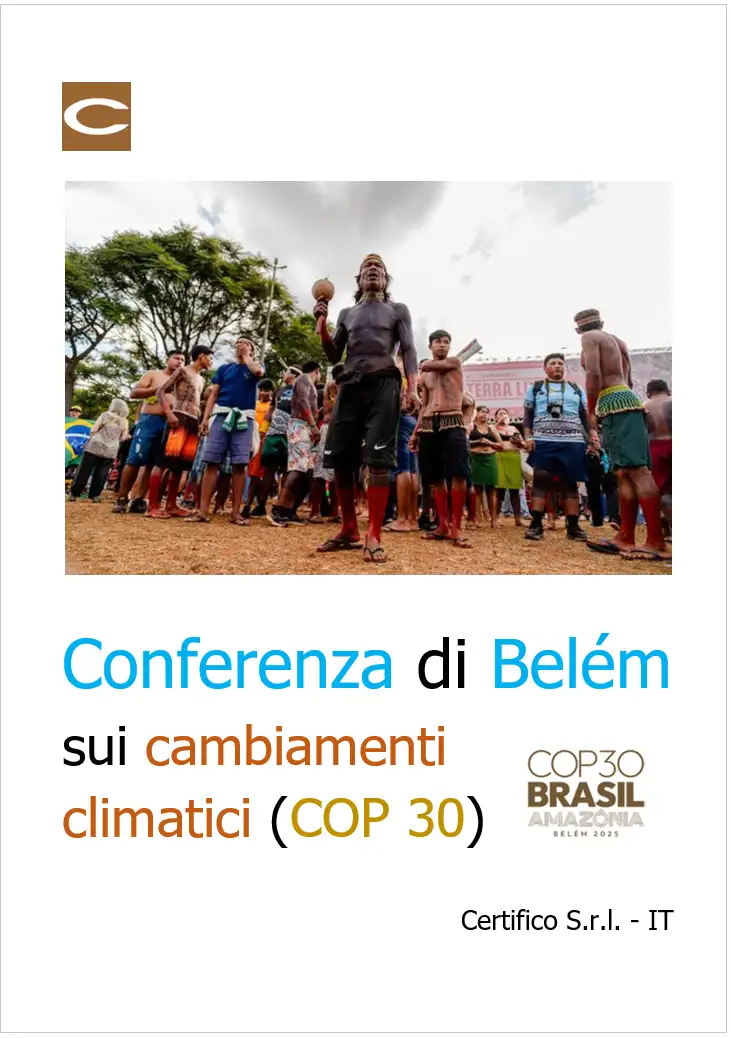 Conferenza di Belém sui cambiamenti climatici (COP 30)